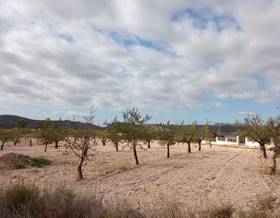 lands for sale in abanilla, murcia