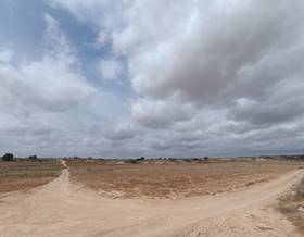 lands for sale in murcia province