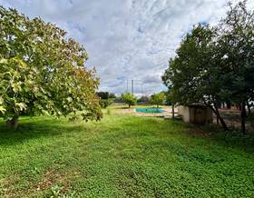 lands for sale in marratxi