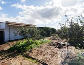 lands for sale in san cristobal de la laguna