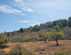 land sale almería fondon by 39,000 eur