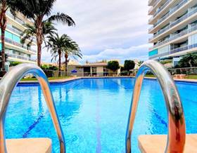 apartments for rent in gandia