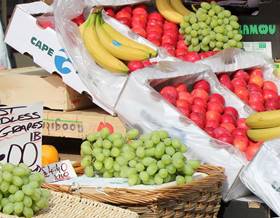 premises for rent in valencia province