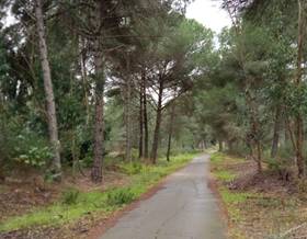 lands for sale in niebla