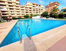 apartment rent gandia playa de gandia by 550 eur