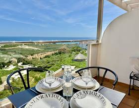 penthouses for rent in manilva