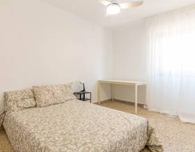 room rent elda centro by 280 eur