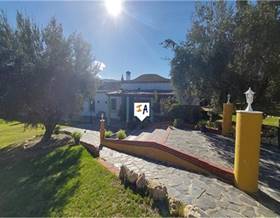 premises for sale in luque