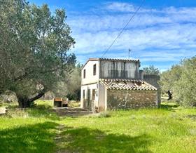 houses for sale in deltebre