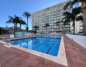 apartment sale gandia grau de gandia - venecia - marenys by 220,000 eur