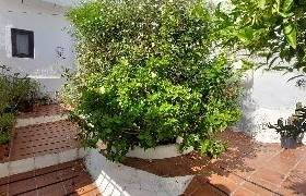 houses for sale in itrabo