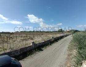 rustic property sale petra by 850,000 eur