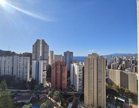 apartments for sale in benidorm