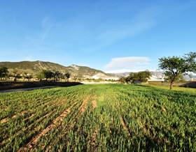land sale padul south of spain by 35,000 eur