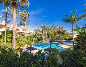 apartments for sale in puerto banus