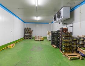 industrial warehouse sale almuñecar almuñecar centro by 580,000 eur