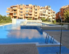 apartments for rent in sotogrande