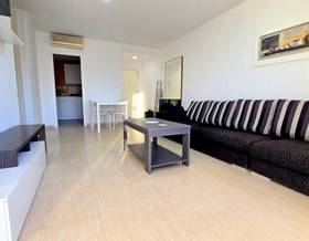 apartment rent gandia by 980 eur