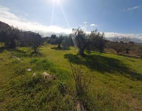 lands for sale in badajoz province