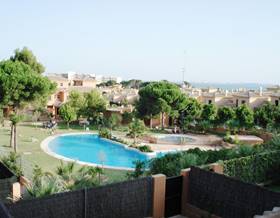 apartments for rent in rota
