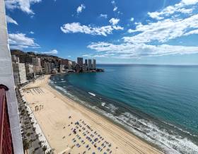 apartment sale benidorm 1ª linea by 249,900 eur