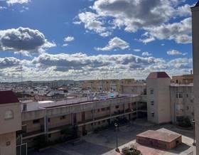 apartments for rent in dos hermanas