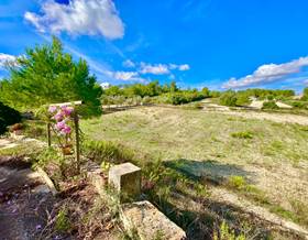 lands for sale in sant joan