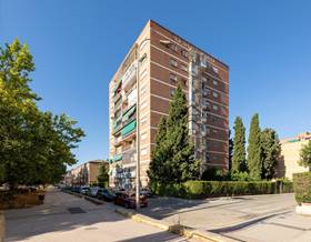 houses for sale in pinos genil