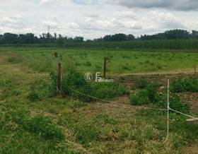 lands for sale in lleida province