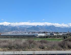 lands for sale in granada province