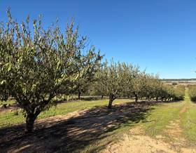 lands for sale in bonares