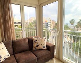 apartment rent torrevieja centro by 950 eur