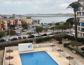 apartment rent torrevieja centro - muelle pesquero by 1,100 eur