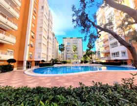 apartments for sale in gandia