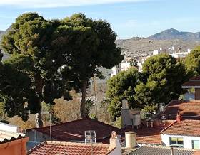 houses for rent in petrer