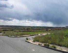 lands for rent in bonares