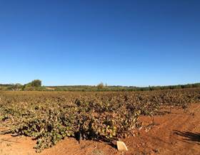 lands for sale in bollullos par del condado