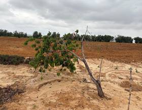 lands for sale in huelva province