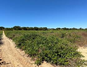 lands for sale in niebla