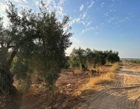 land sale bollullos par del condado andalucia by 7,000 eur