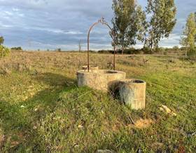 lands for sale in chucena