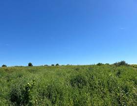 lands for sale in almonte