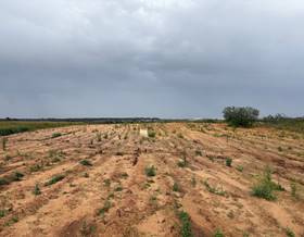 land sale bollullos par del condado andalucia by 8,500 eur