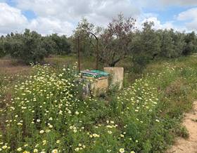 lands for sale in villarrasa