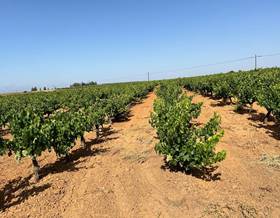 land sale bollullos par del condado andalucia by 11,000 eur