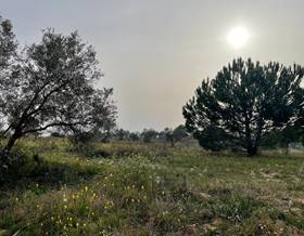 lands for sale in bollullos par del condado