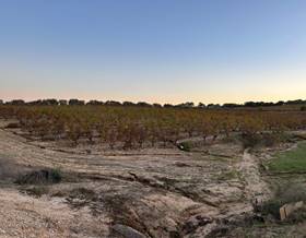 rustic property sale bollullos par del condado andalucia by 15,000 eur