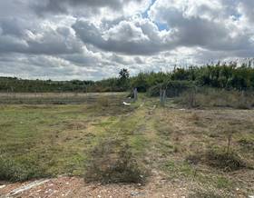 lands for sale in villarrasa