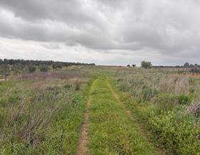lands for sale in bollullos par del condado