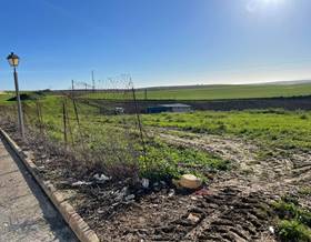 lands for sale in chucena